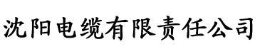 漂亮人妻被强中文字幕电缆厂logo